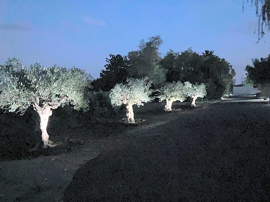 gîte la source milieu