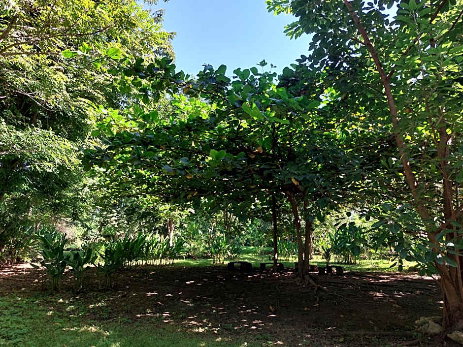 Hôtel La Belle Etoile