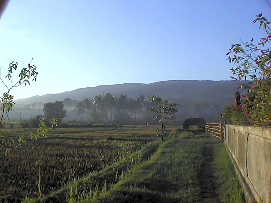 Singko Lovina