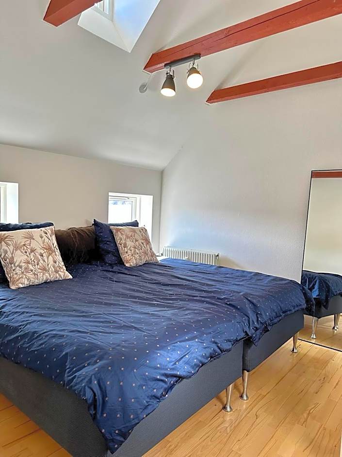 Skuespiller Centralen