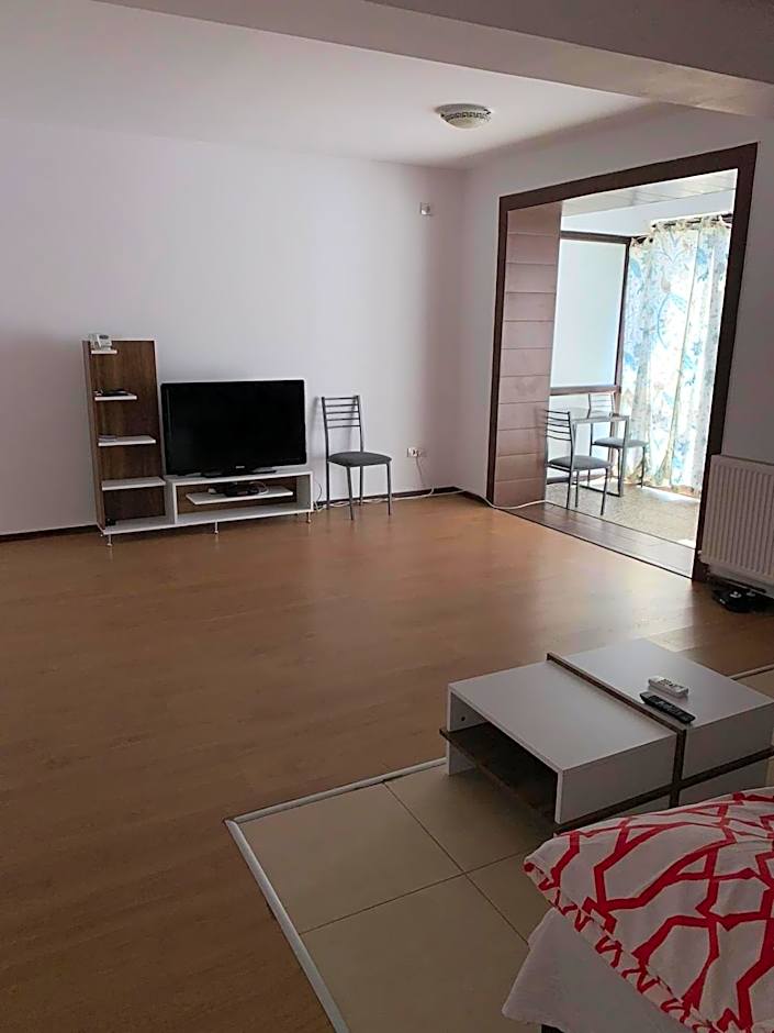 Apartamente deluxe / Imobiliare Garcea Titu