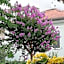 Hotel Residence Fausta