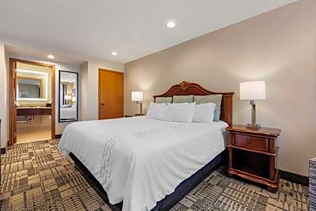 1 King Bed, Non-smoking, Kitchenette, Wi-fi, Full Breakfast