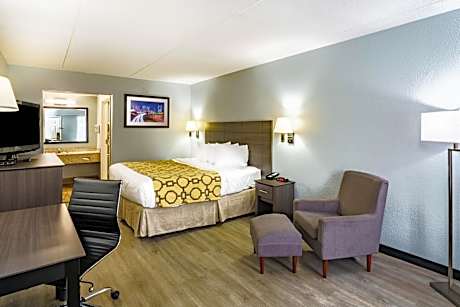 King Room - Pet Friendly/Non-Smoking
