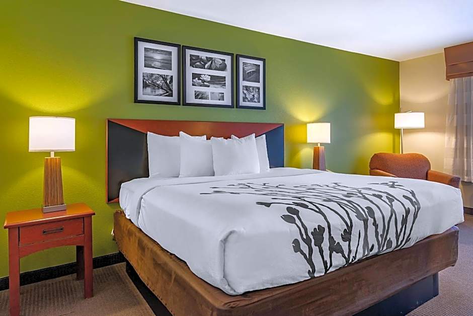 Sleep Inn & Suites Stockbridge Atlanta South