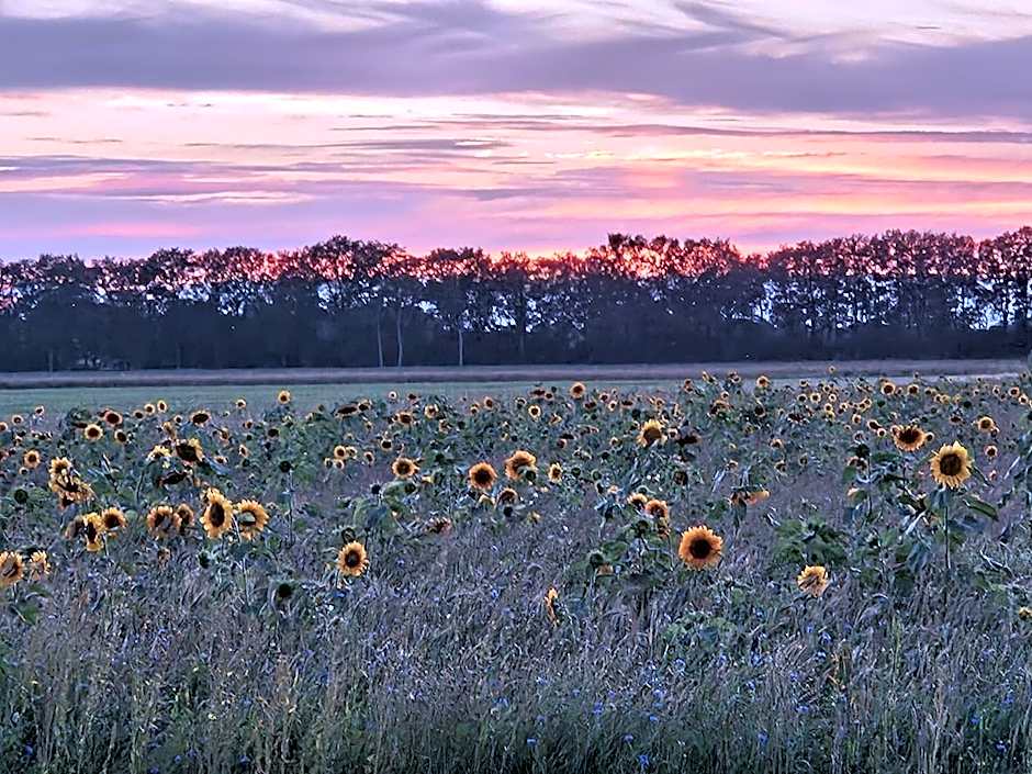 Boutique Hotel het Witte Veen