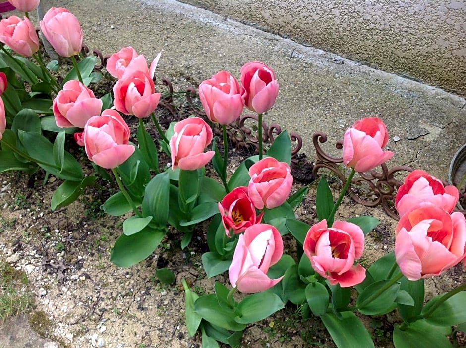 Bed & Breakfast Le Beauséjour