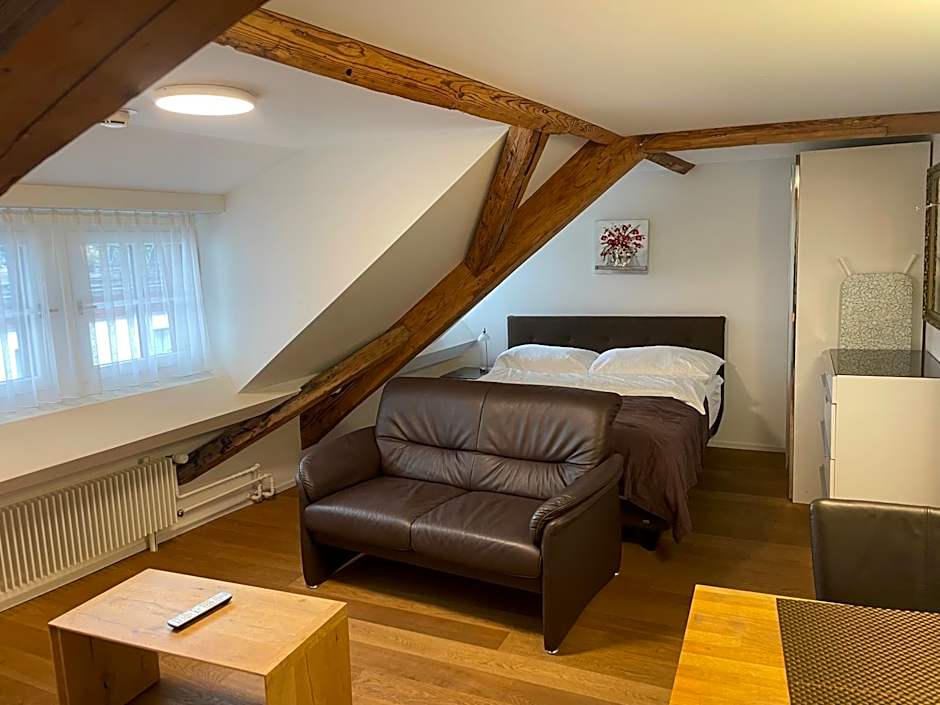 Splendid Apartments Zürich City