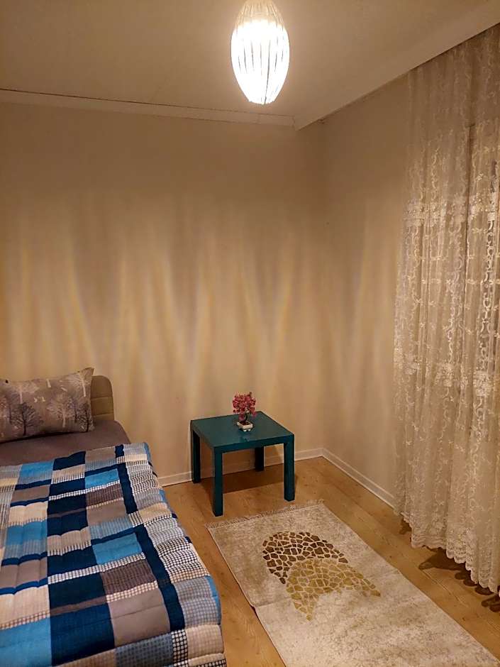 B.A.A Sabiha Gökçen 