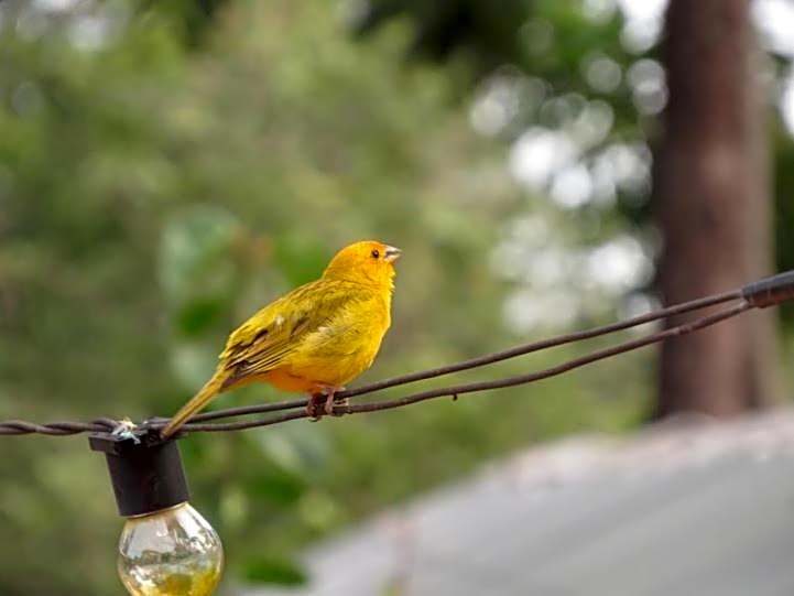 Casa na fazenda inteira ou quartos individuais no Hostel Recanto da Felicidade Paraopeba