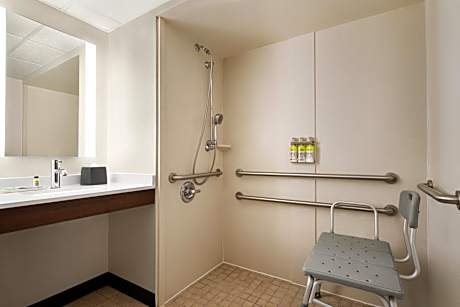 Standard King Room with Roll-in Shower - Mobility Accessible