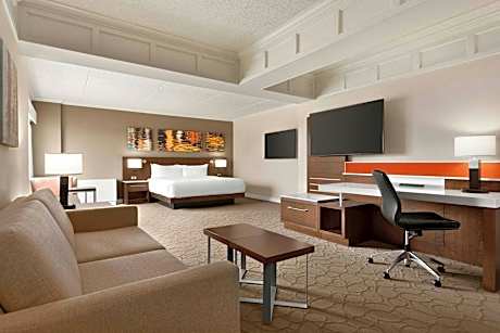 1 Bedroom Larger Suite, 1 King, Sofa bed, Away from elevator, Fireplace