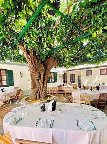 Antica locanda al Gelso