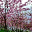 Liching Garden Villa