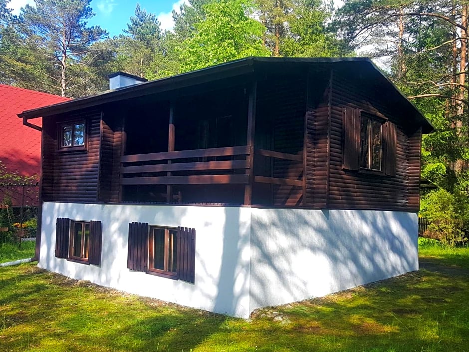 BORY TUCHOLSKIE SKÓRZENNO KO¿O OSIEKA