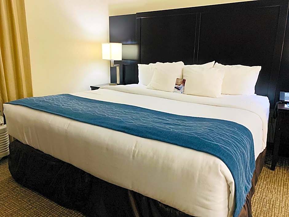 Comfort Inn & Suites Atlanta/Smyrna