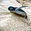 Ningaloo Lodge Exmouth