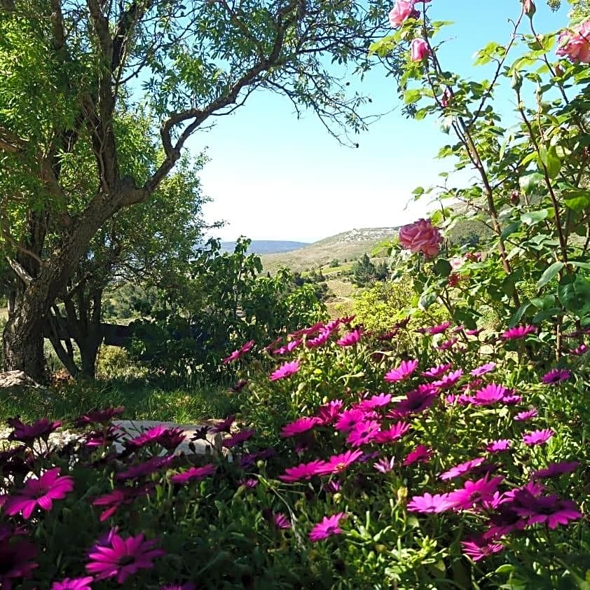 Chambres d'hôtes Gîte Saint Roch
