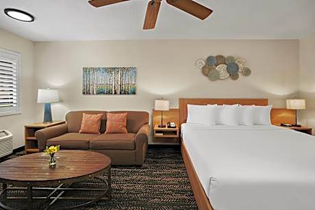 Superior King Room- Non Smoking