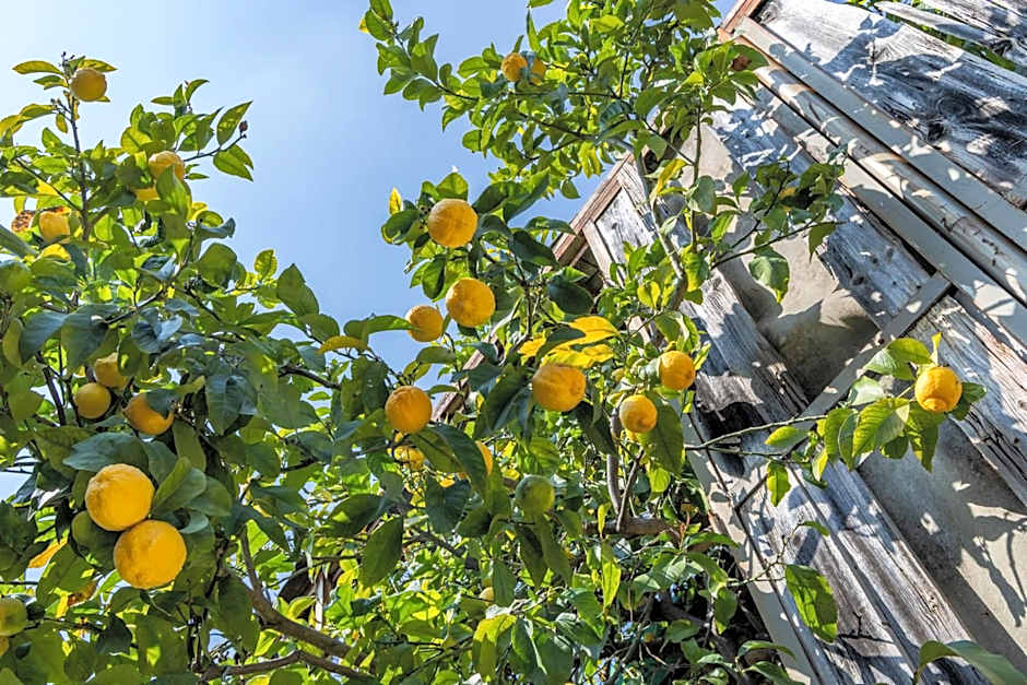 Residence Borgo Dei Limoni - Appartamenti con Garage