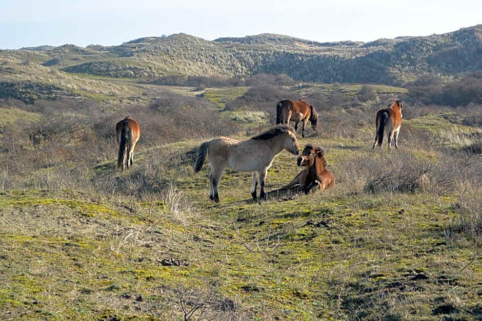 Strandhotel Golfzang