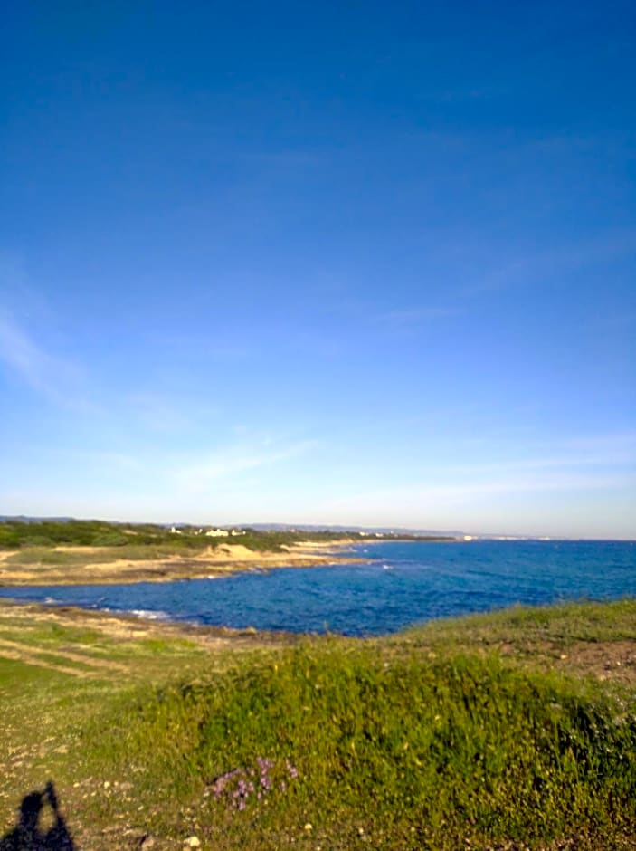 IL PRINCIPE VIENDALMARE