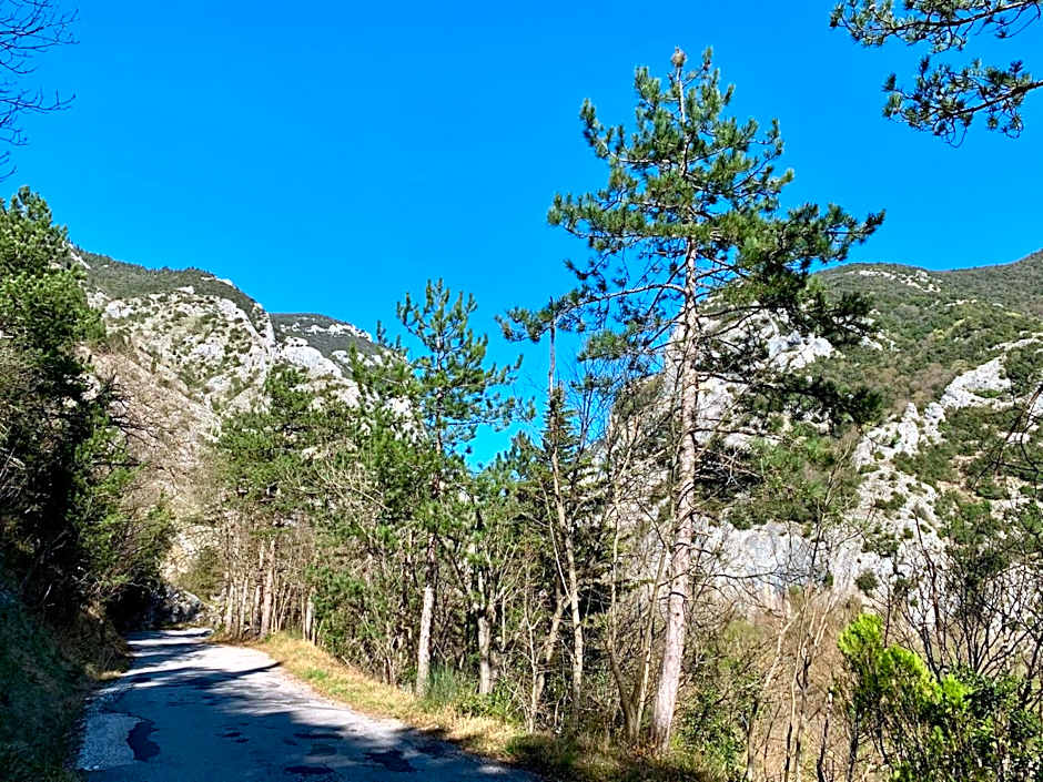 La Forestale Luxury Ecolodge B&B Primo Piano