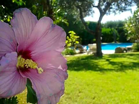 A Casa Di Angela B&B