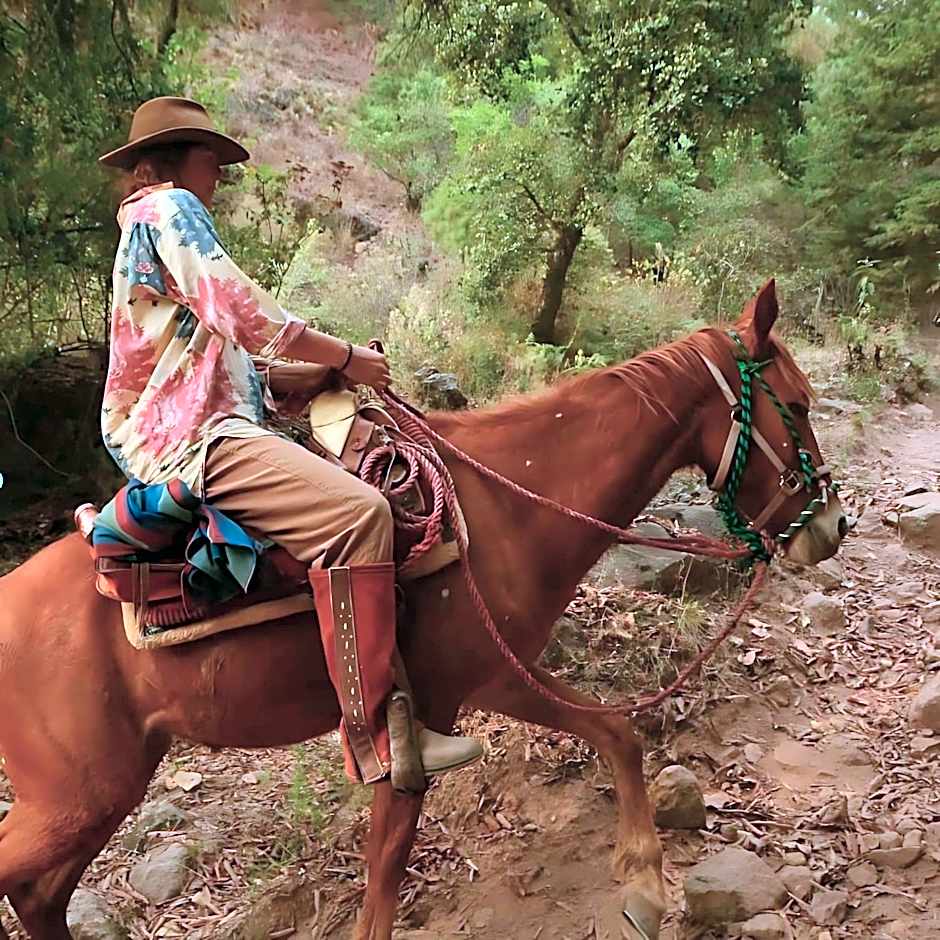 Rancho con Caballos El Reencuentro