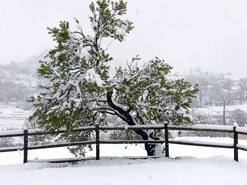 Hotel Boutique Bodegas De Arnes - Adults Only