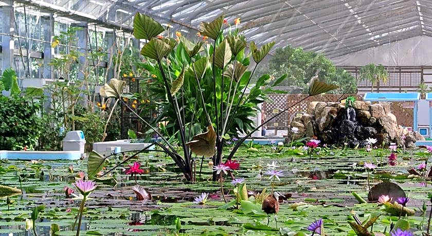 Royal INN Kakegawa (Station Hotel2)