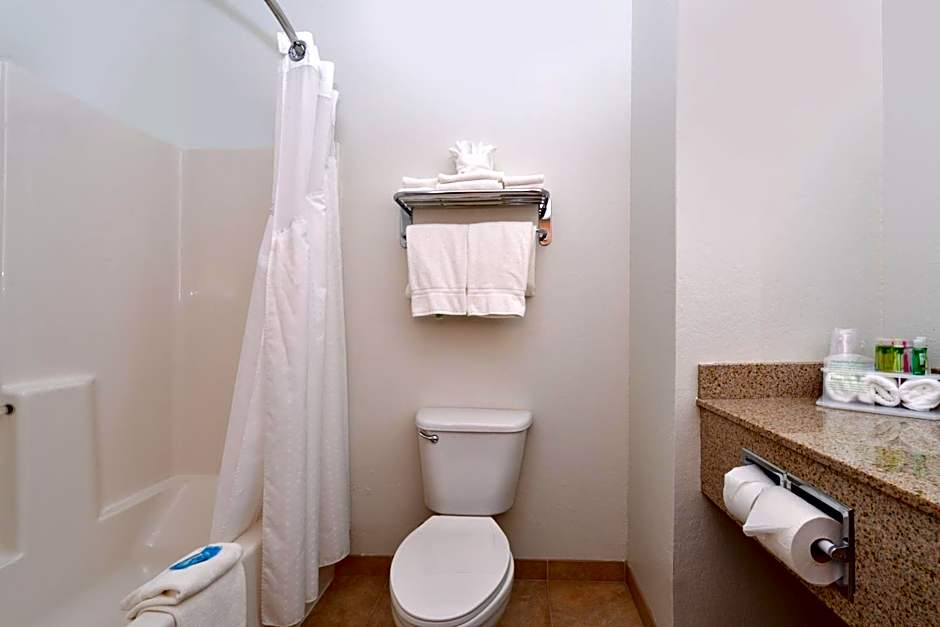 Holiday Inn Express Hotel & Suites Omaha West By IHG
