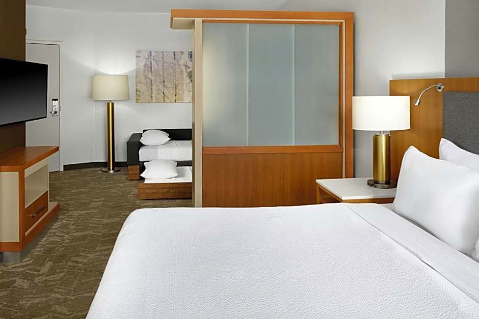 SpringHill Suites by Marriott Detroit Metro Airport Romulus
