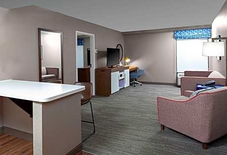 1 KING MOBILITY ACCESS TUB SUITE NONSMOKING