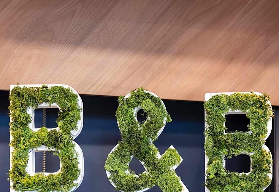 B&B Hôtel Lille Grand Stade