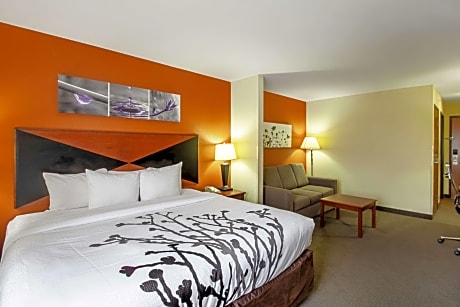 1 King Bed, Suite, Nonsmoking, Accessible