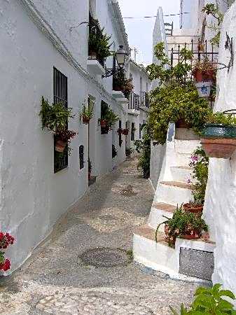 Hotel Rural Almazara