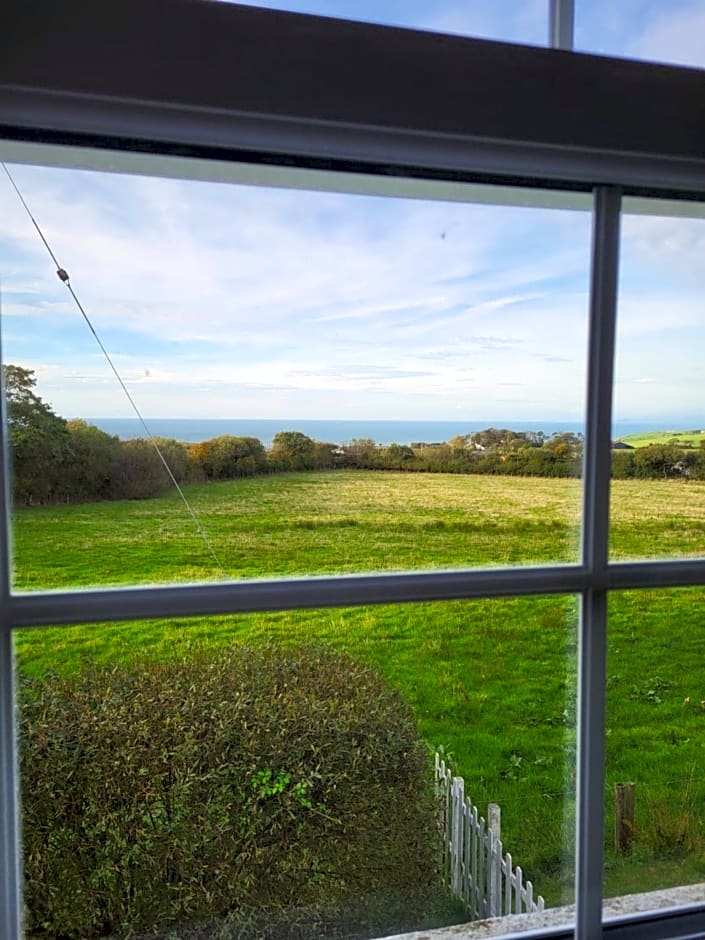 The Green Door Vegan B&B