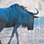 Morokolo Safari Lodge Self-catering
