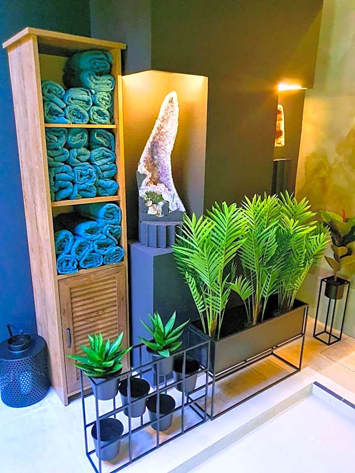 Hotel Posada Vidraru