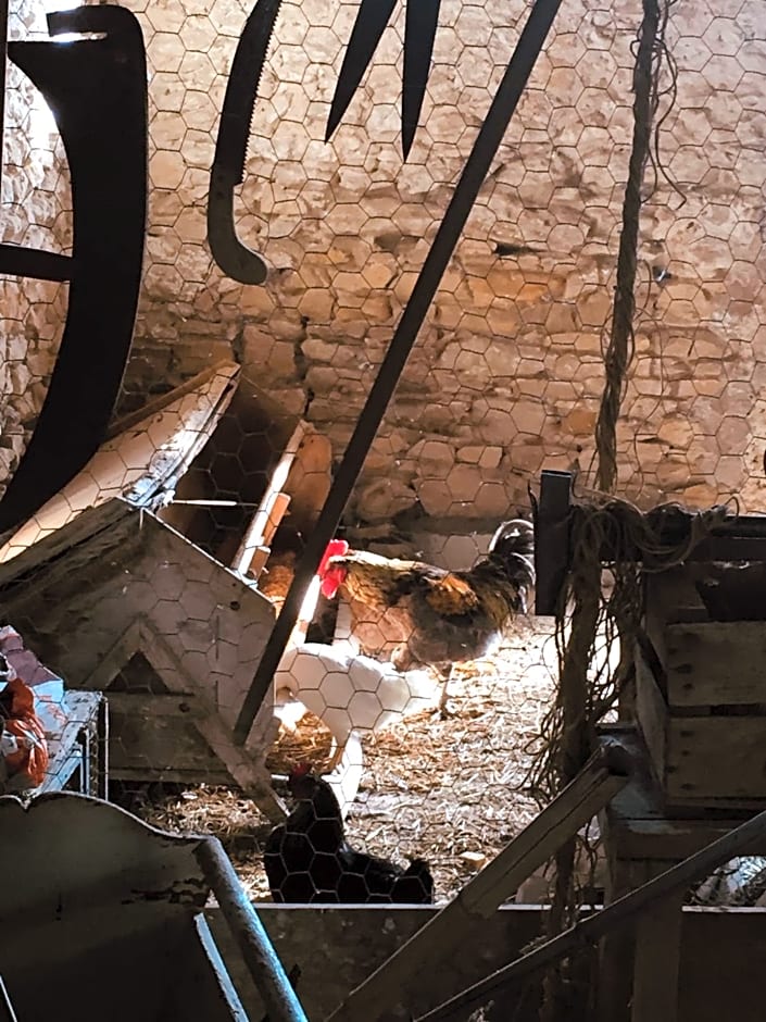 Ferme St Pierre gîte, pisc, repas, 2-3 personnes