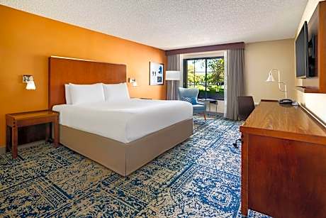 Room, 1 King Bed