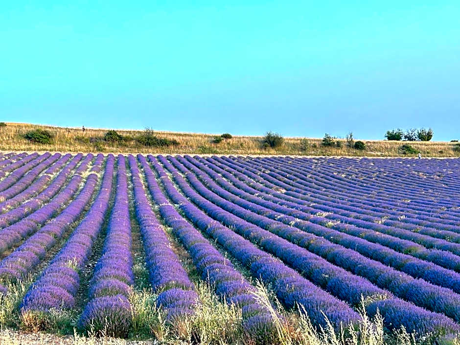 Olydea Montbrun-les-Bains
