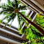 Mauna Kea Beach Hotel, Autograph Collection