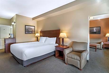 Executive King Suite with Sofa Bed - Non-Smoking