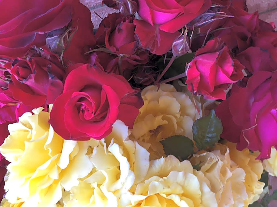 Coonawarra Place Motor Inn