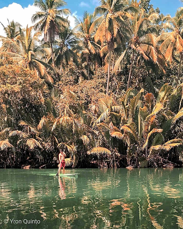 Loboc Nipa Hut Village