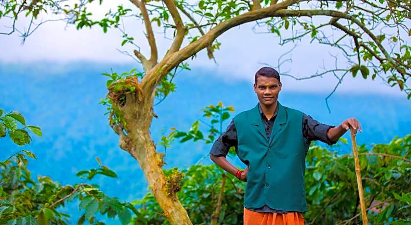 After the Rains - Rainforest Lodge