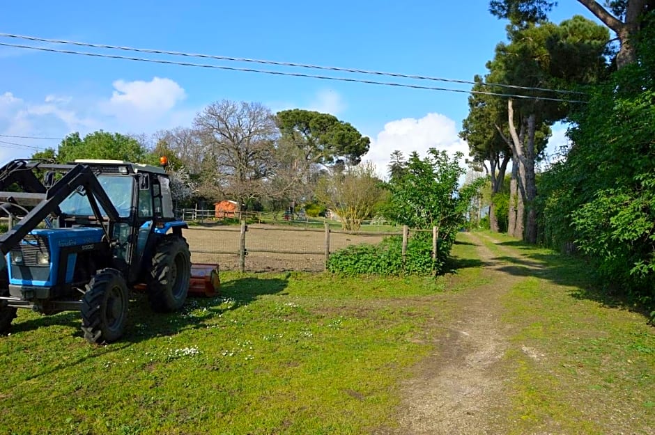 Agriturismo Tenuta Buon Respiro