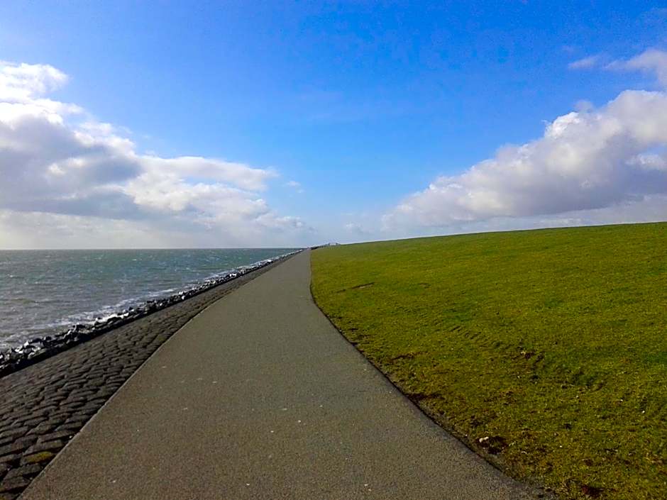 De Stormvogel